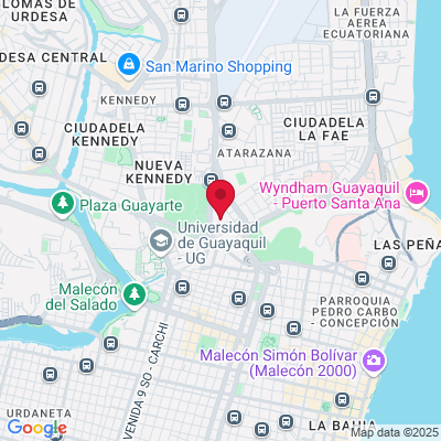 Google Maps static image